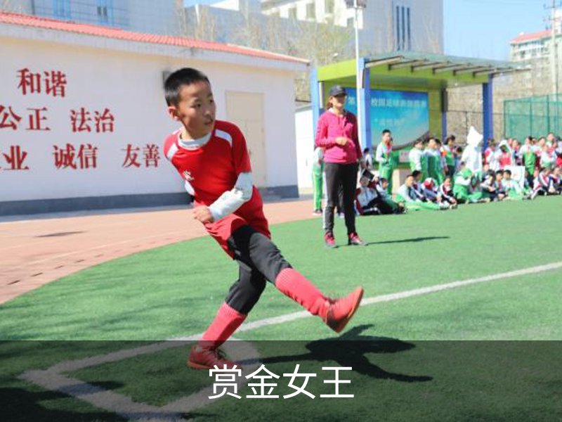 赏金女王简介